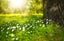 Seek the Scents of Summer: A Guide to Refreshing Fragrances for the Season