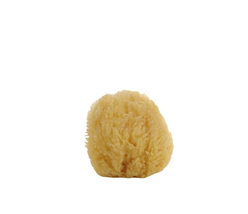 Natural Small Sea Sponge - Soap & Water Everyday