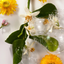 Roger & Gallet Neroli Bath & Shower Gel