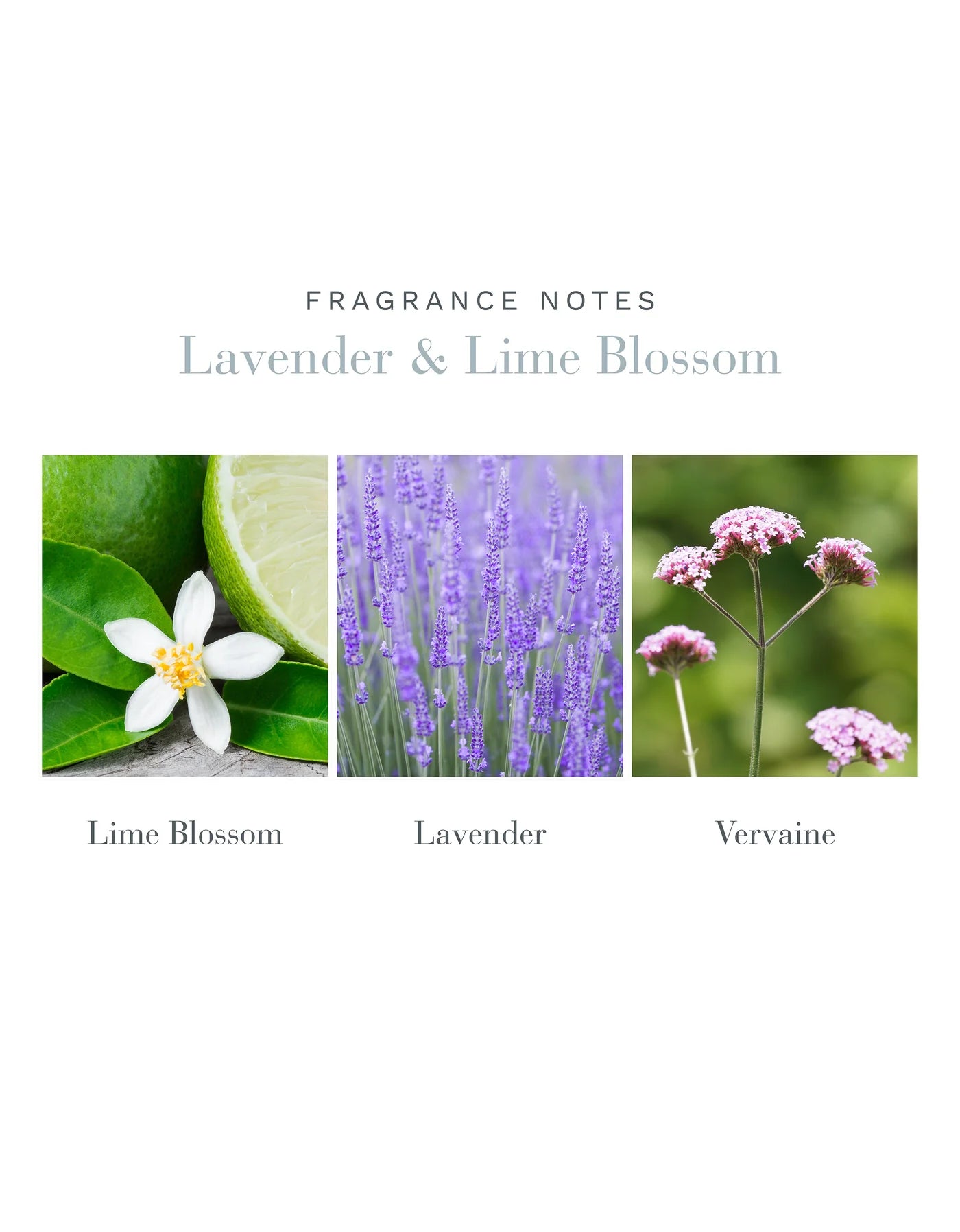 Antica Farmacista Lavender & Lime Blossom Home Ambiance Diffuser