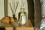 Antica Farmacista Prosecco Home Ambiance Diffuser - 500 ml