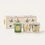 Baobab Collection - Trio Travel Candles Tomorrowland