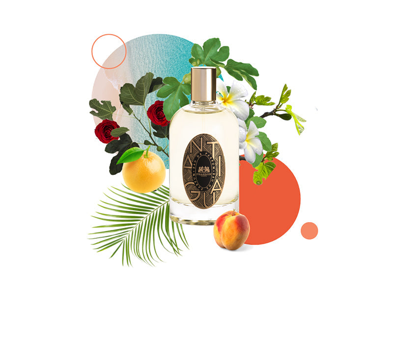 Phaedon Paris Eau de Parfum Antigua