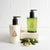 Thymes Frasier Fir Hand Lotion