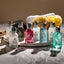 Molton Brown Discovery Body & Hair Care Collection