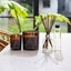 Molton Brown Orange & Bergamot Signature Candle - 190g