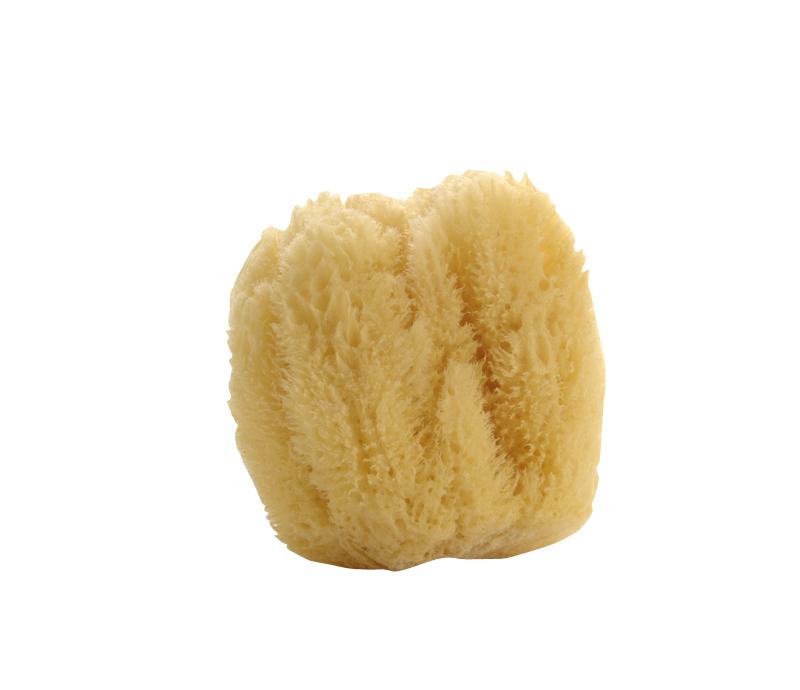 Natural Large Sea Sponge - Soap & Water Everyday