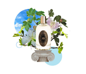 Phaedon Paris Eau de Parfum Ciel Immobile - Soap & Water Everyday