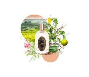Phaedon Paris Eau de Parfum Mediterraneo - Soap & Water Everyday