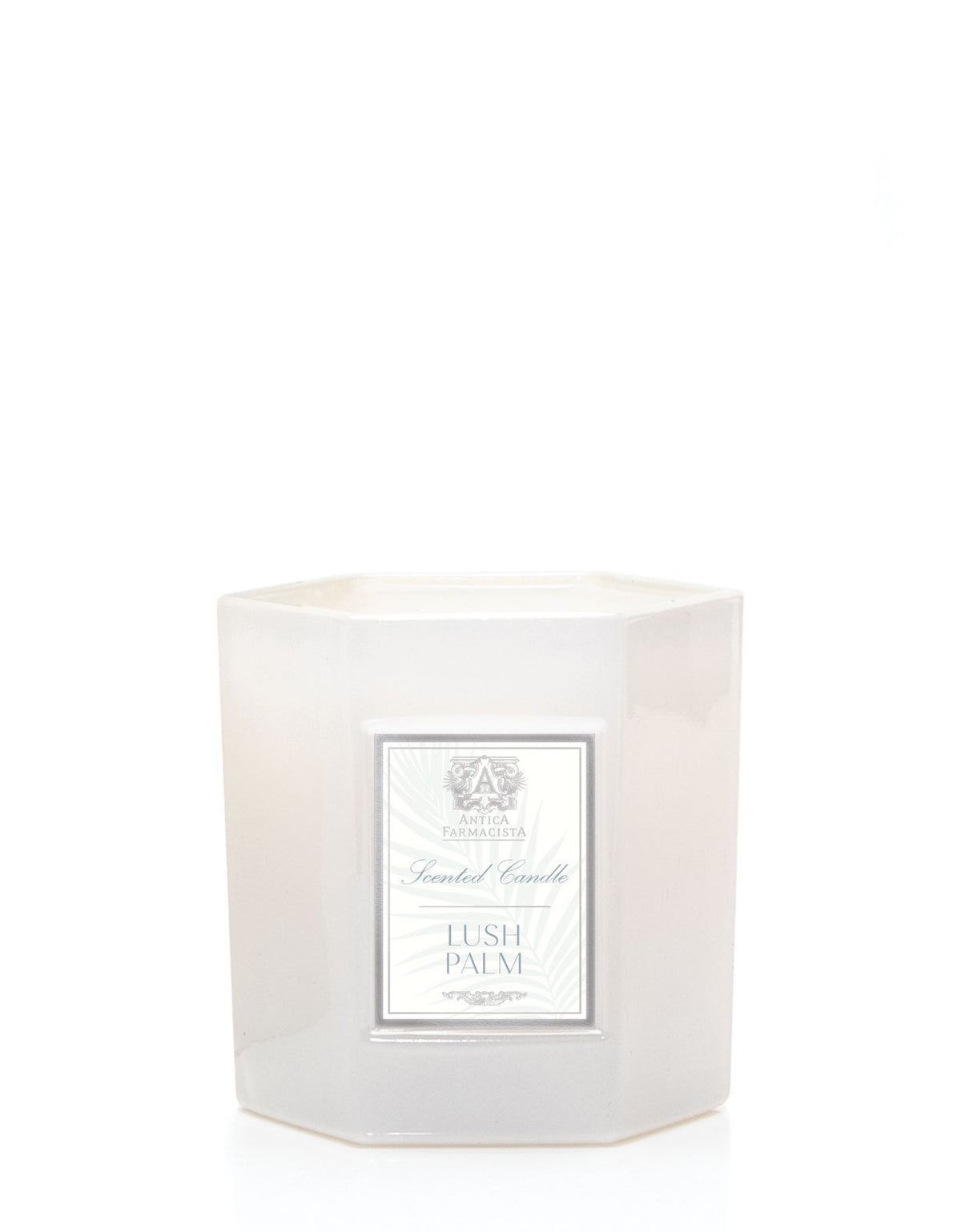 Antica Farmacista Lush Palm Hexagonal Candle - 9 oz - Soap &amp; Water Everyday