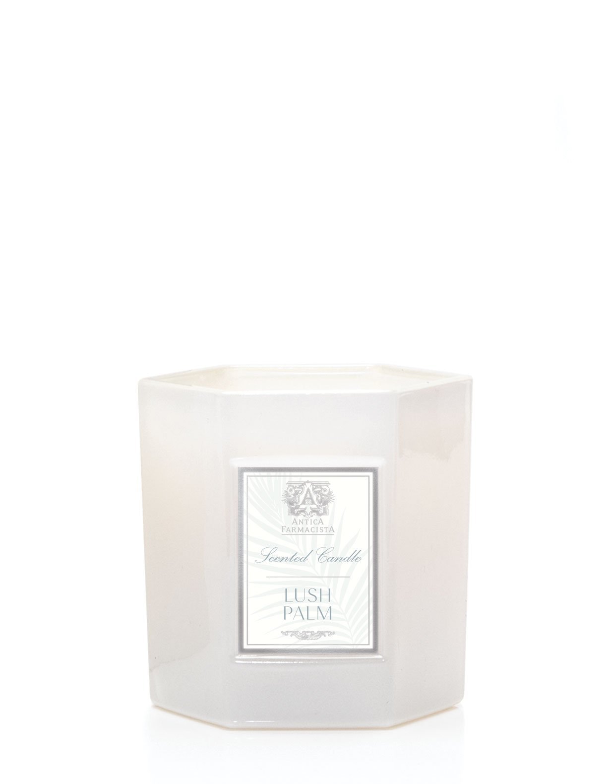 Antica Farmacista Lush Palm Hexagonal Candle - 9 oz - Soap & Water Everyday